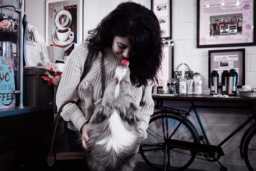 Sleepy Coffee, Too  |  Sleepy Hollow, NY - Oct 2024